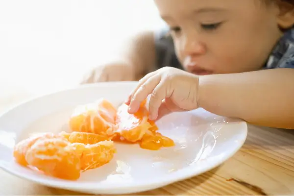 Papinhas Orgânicas com Frutas Regionais do Verão Nordestino