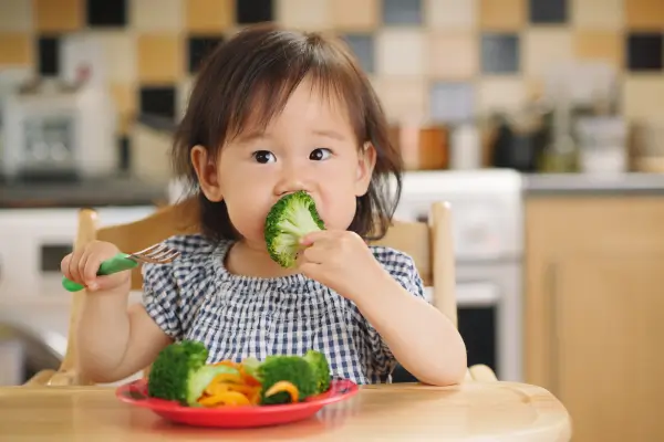 Mix de Legumes Assados para Dias Frios no Sul com Papinhas Ricas em Carotenóides