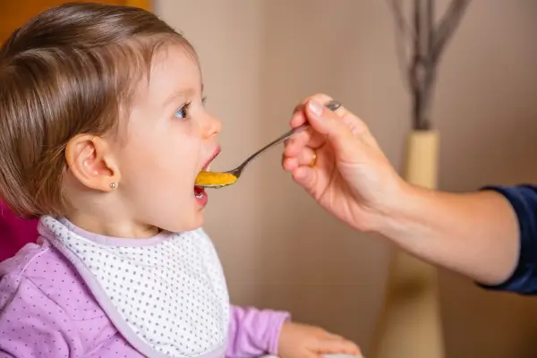 Purês Fortificantes com Cogumelos Orgânicos para Bebês Vegetarianos em Transição de Textura
