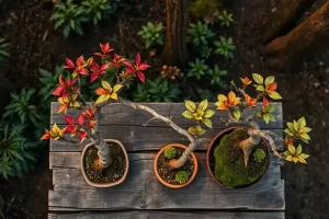 Cultivares Rústicas de Mata Atlântica Adaptadas à Arte do Bonsai Local